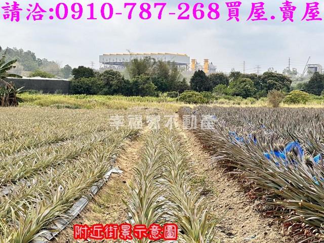 山上農地-6