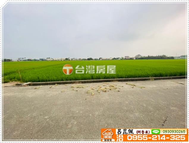 大林農地-5