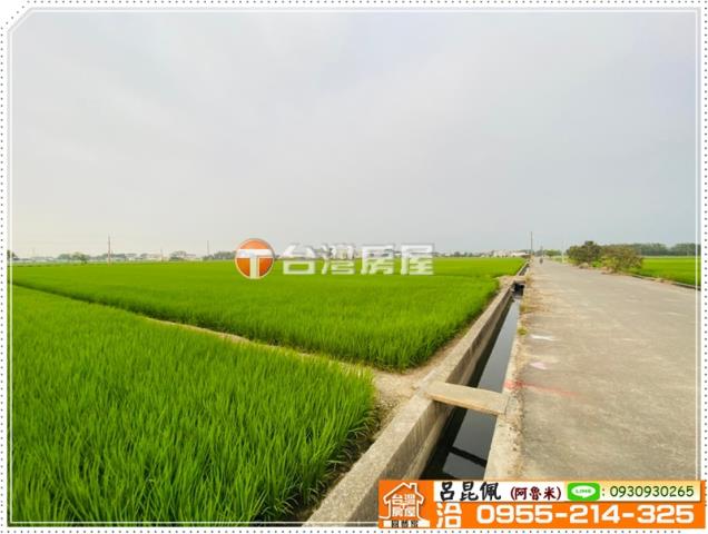 大林農地-6