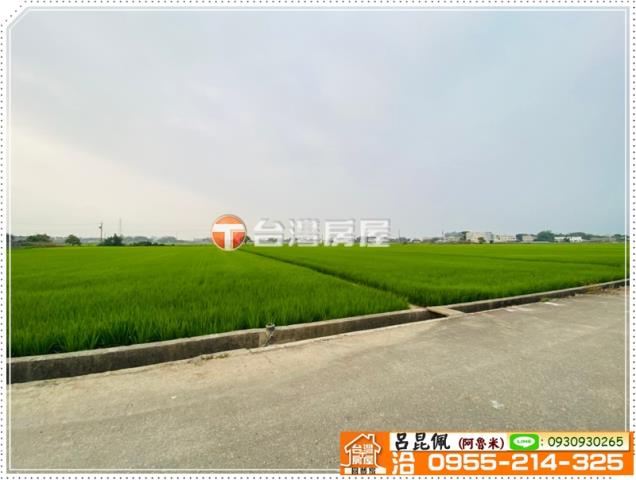 大林農地-7