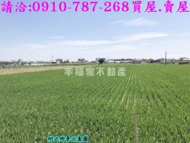 官田農地-6
