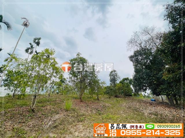 中埔農地-11