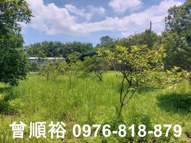 新竹農地-5