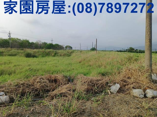 新埤農地-1