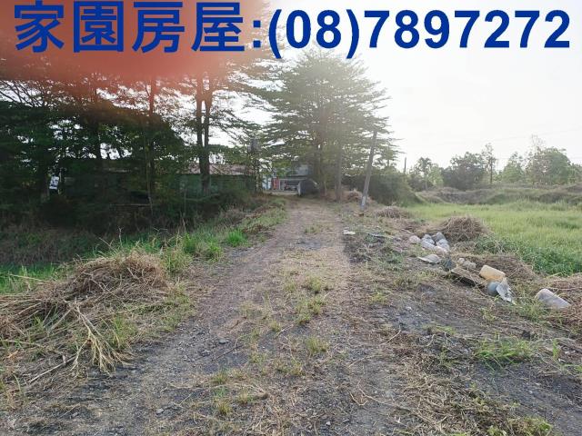 新埤農地-2