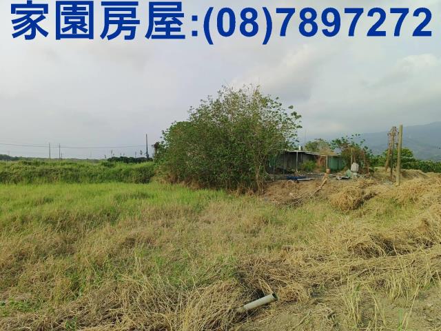 新埤農地-6