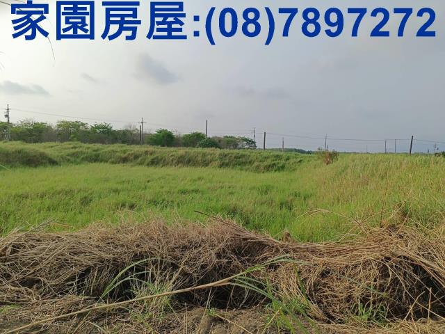 新埤農地-8