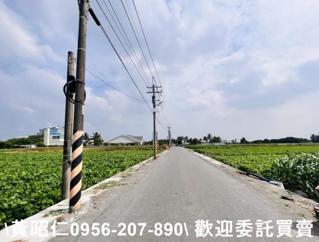 安南農地-1