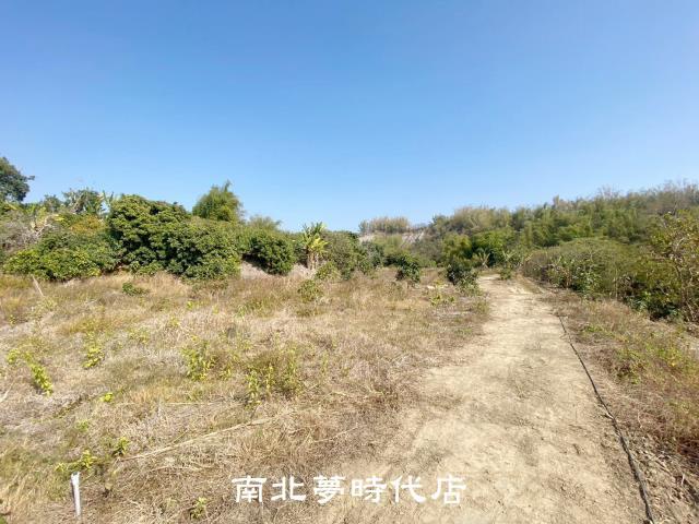 左鎮農地-10