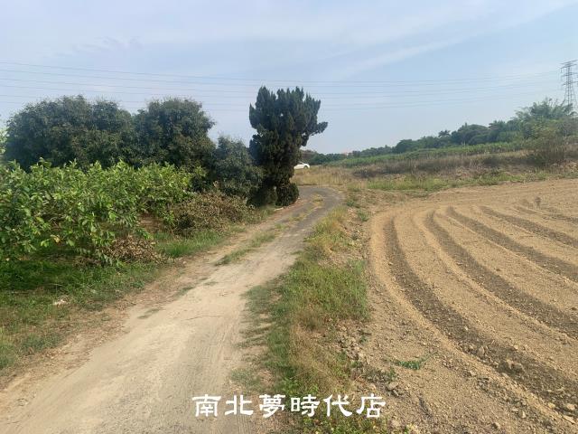 台南新化農地-2