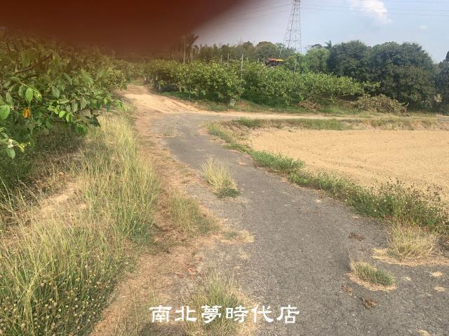 台南新化農地-5
