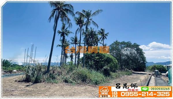 中埔農地-4
