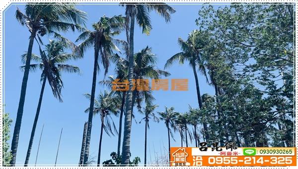 中埔農地-7