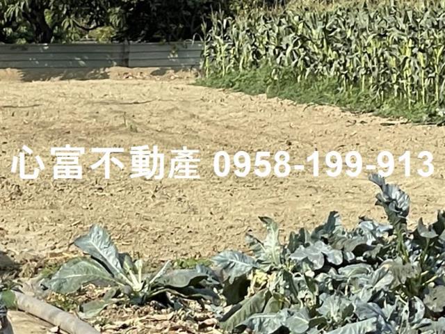 岡山農地-1