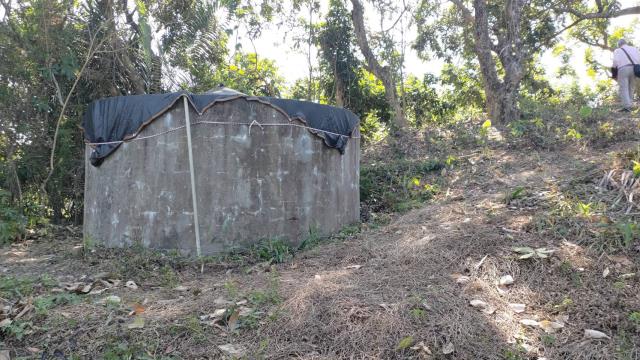 台中太平山坡地-8