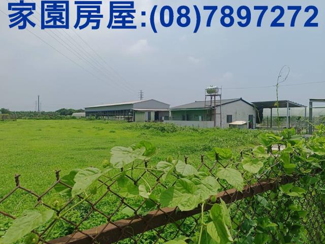 新埤農地-4