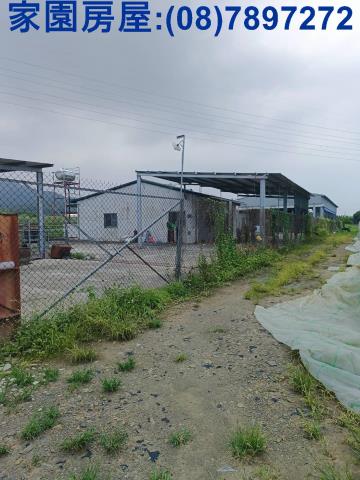 新埤農地-5