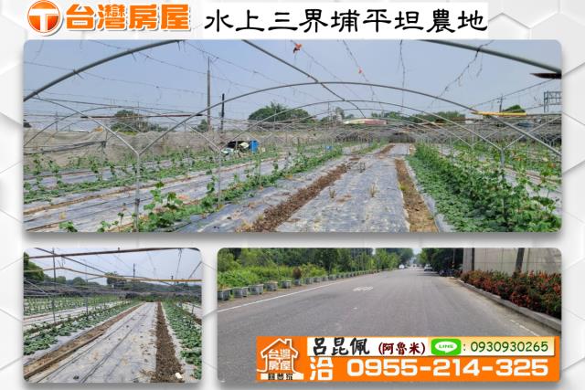 嘉義農地-1