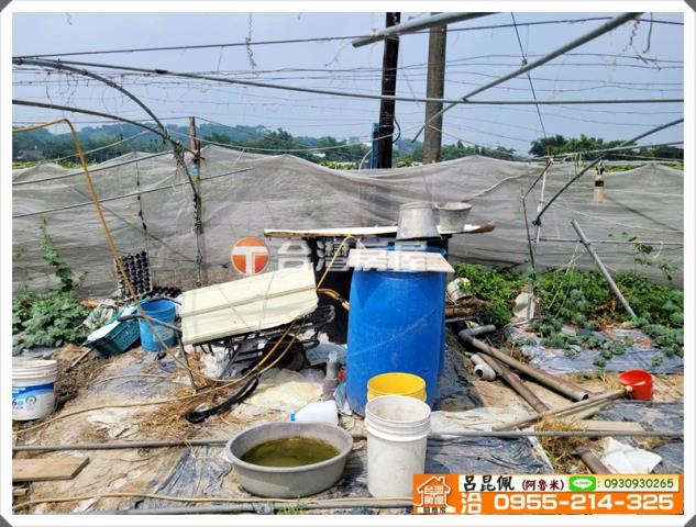 嘉義農地-8