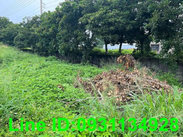 台中外埔農地-4