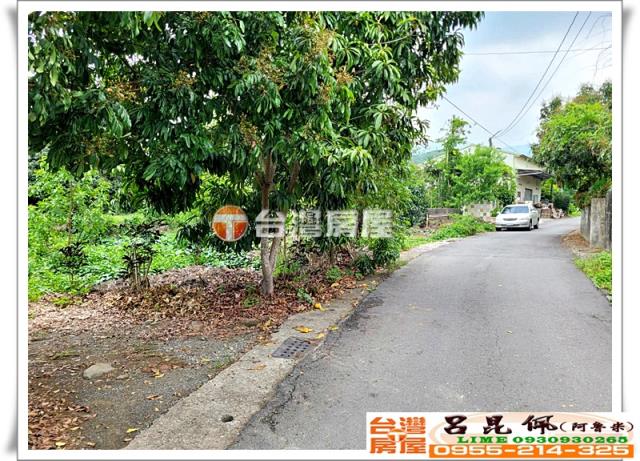 竹崎農地-10