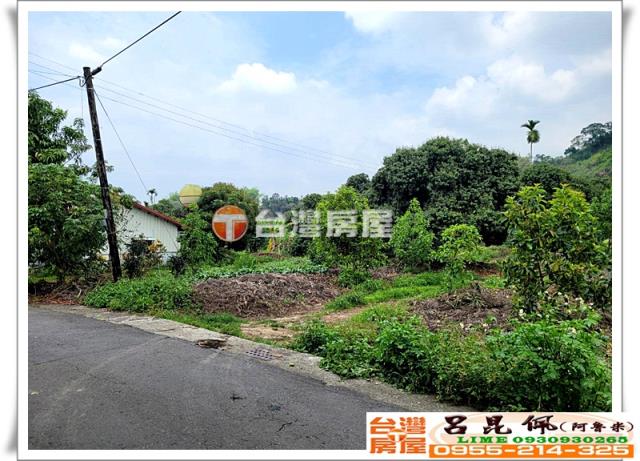 竹崎農地-3