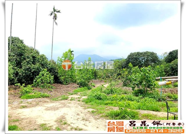 竹崎農地-8