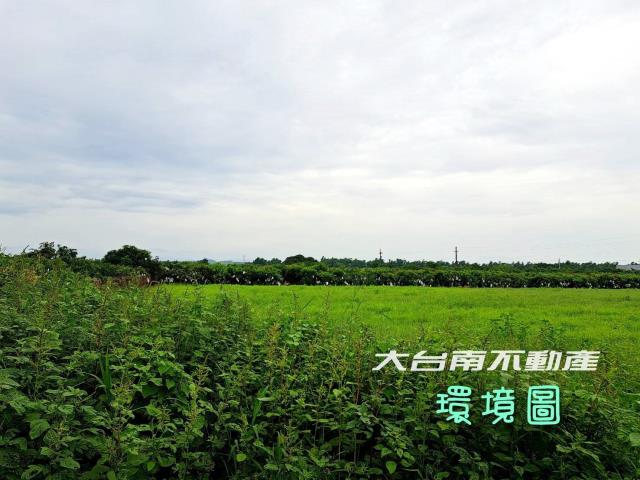台南官田農地-1