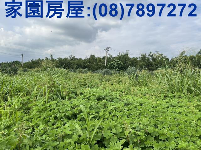 屏東農地-2