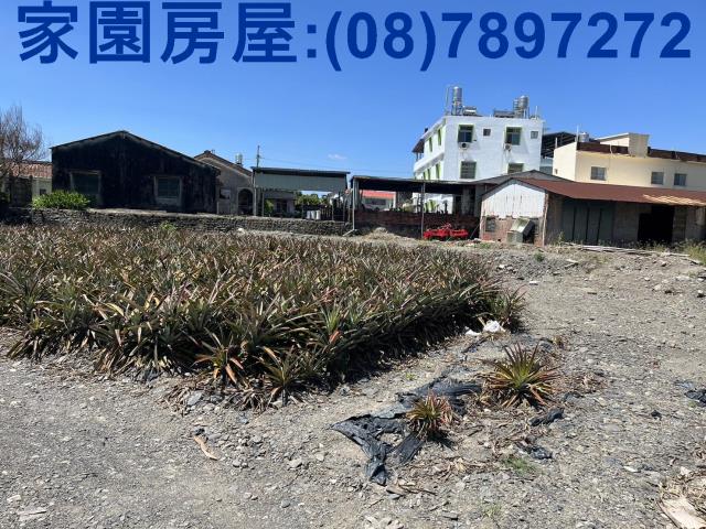 屏東潮州農地-3