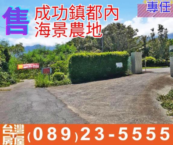 成功鎮都內海景農地