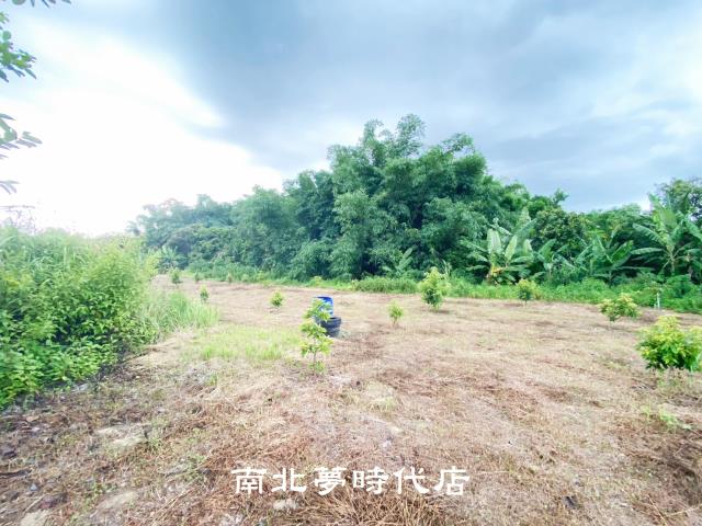 左鎮農地-12
