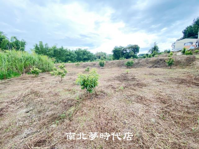 左鎮農地-9