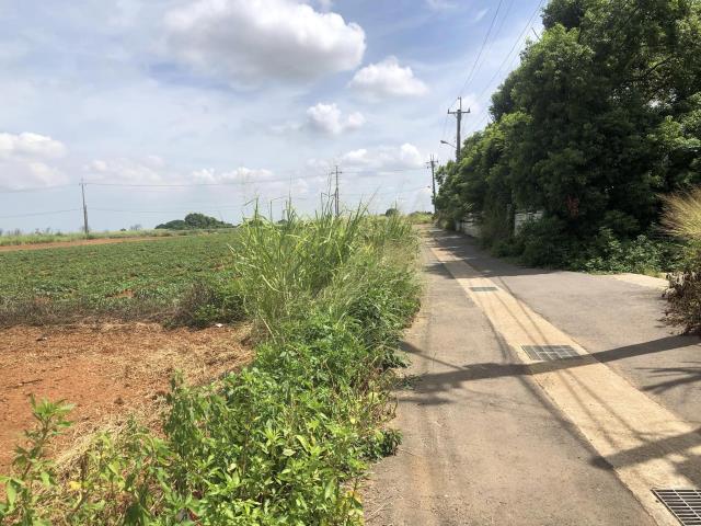 清水農地-2