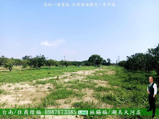 台南佳里農地-2