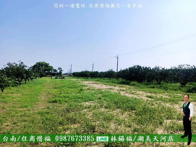 台南佳里農地-3