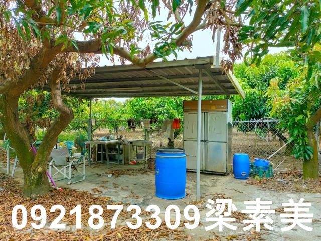 玉井農地-11