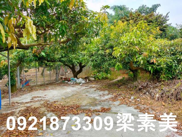 玉井農地-14