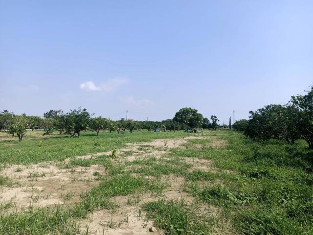 佳里農地-6
