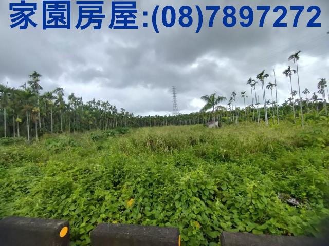 屏東潮州農地-1