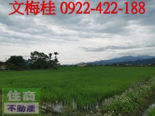 宜蘭三星農地-1