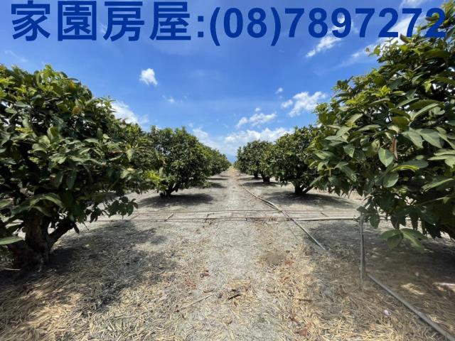 南州農地-2