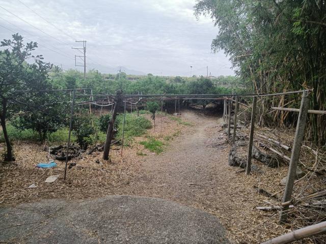 台中東勢農地-2