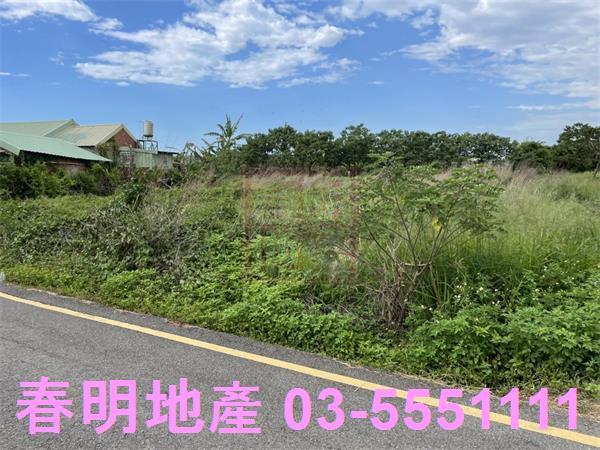 新竹農地-4