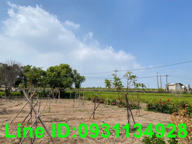 台中后里建地-4