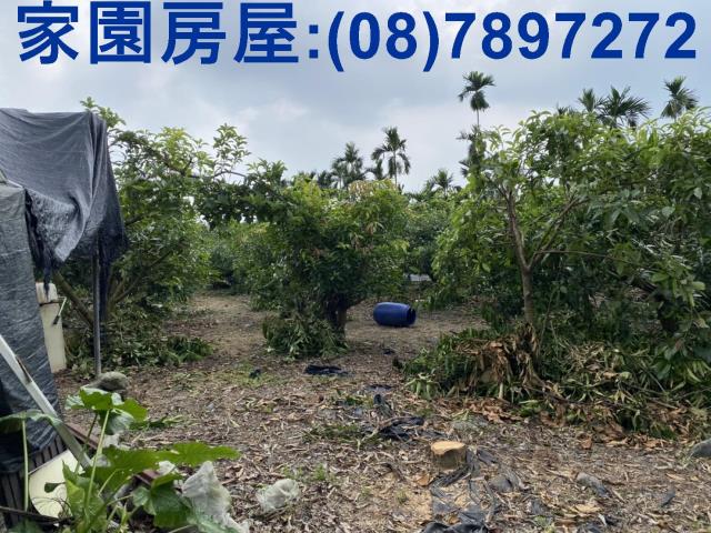 萬巒農地-2