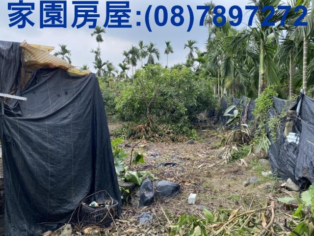 萬巒農地-3