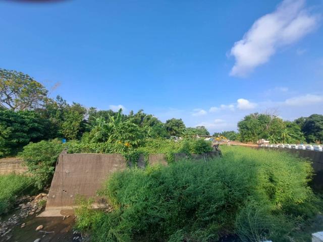 台中農地-4