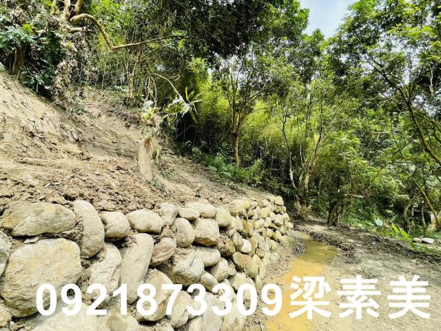 白河農地-2