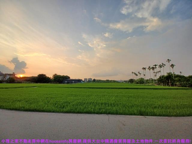 台中農地-2